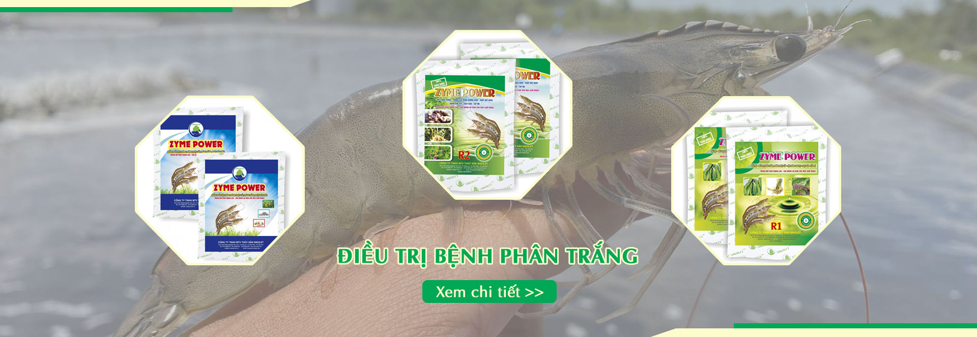 Điều trị bệnh phân trắng