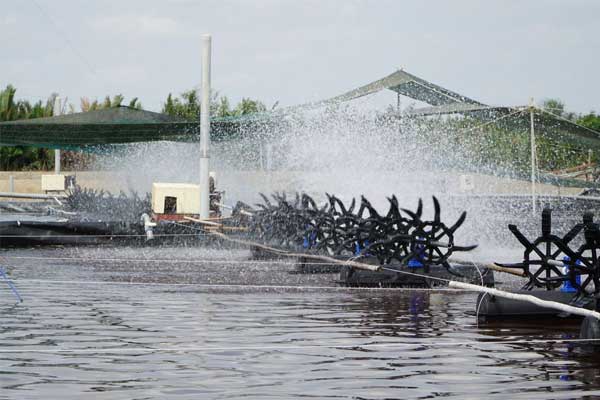 Cùng nâng kiềm nhưng hiệu quả có thật sự giống nhau?