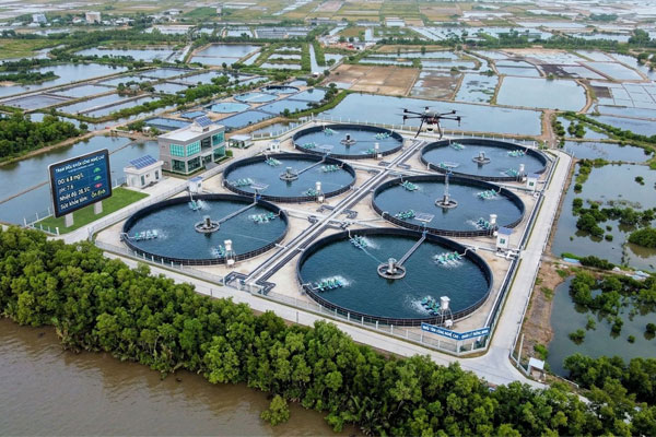 Dự báo tươi sáng ngành tôm giai đoạn 2026-2034