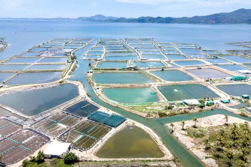 Kinh tế tuần hoàn chuyển đổi xanh với ngành tôm