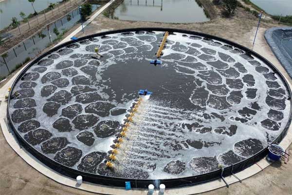 Những tác hại từ độ đục nước ao nuôi